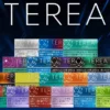 IQOS TEREA 日版 加熱菸彈 20支裝/日本原裝/ILUMA專用/電感金屬芯/免清理不斷片