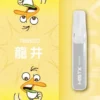 Mist X 鴨嘴獸 6500口 拋棄式電子煙 冰爽水果/2%尼古丁鹽/550mAh大電量/可充電續航/獨家萌系外觀設計