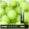LANA ZOLT 8000口 拋棄式電子煙 15ml煙油/冰感水果/Mesh網狀霧化芯/爆發力強/配置可充電式設計